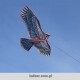 Latawiec imitujący drapieżnego ptaka - zestaw duży